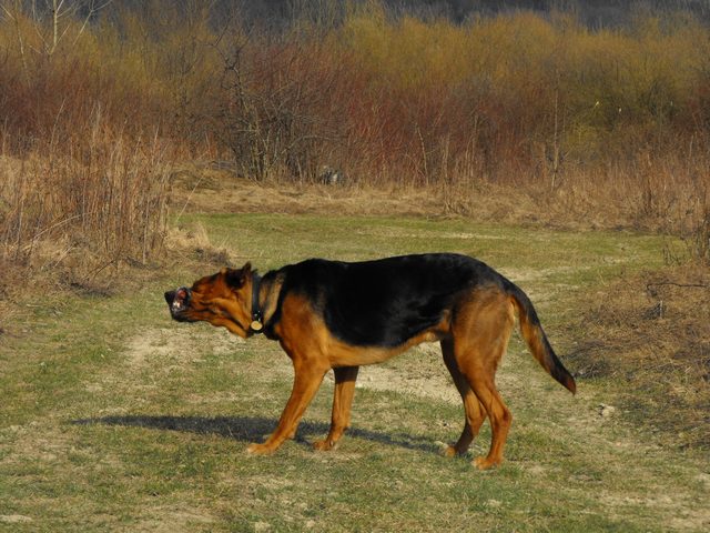 DSCF5153.JPG