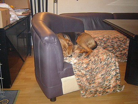 DSC026951.JPG