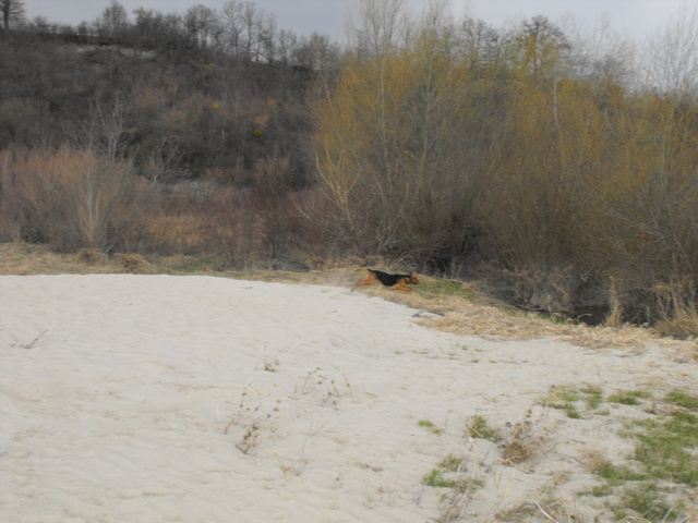 DSCF5163.JPG