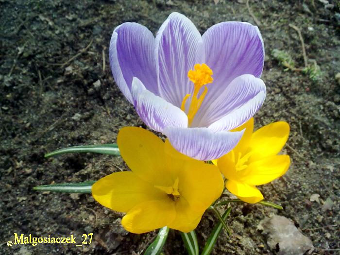 30032010459.jpg