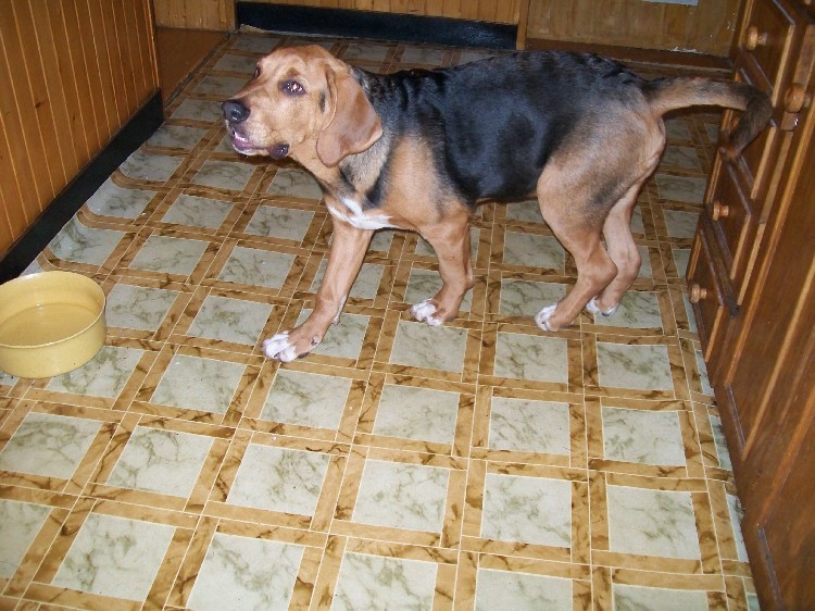 Obraz 055.jpg