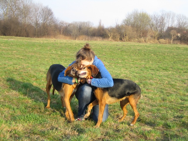 i z druga pancia, TULIMY