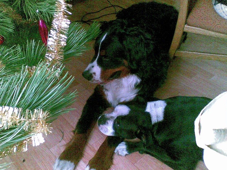 20090120(002).jpg