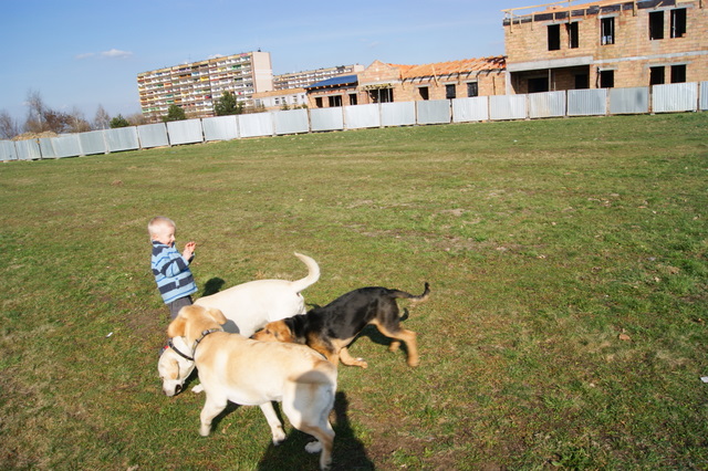 DSC00355.JPG
