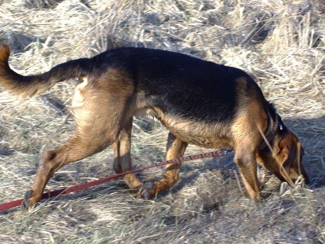 IMGP1111_.jpg