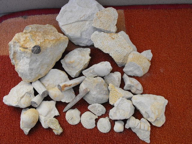 DSCF5003.JPG
