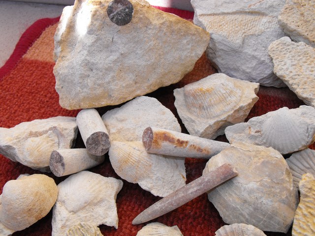 DSCF5006.JPG