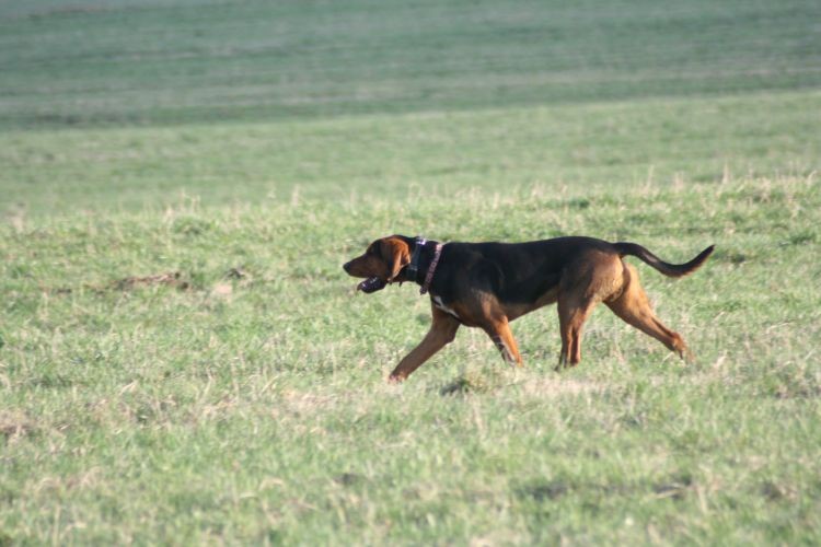 wiosna 002.jpg
