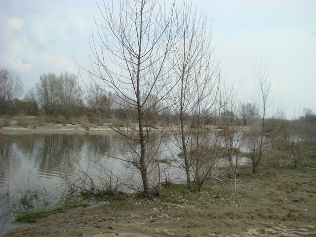 DSC00695.JPG