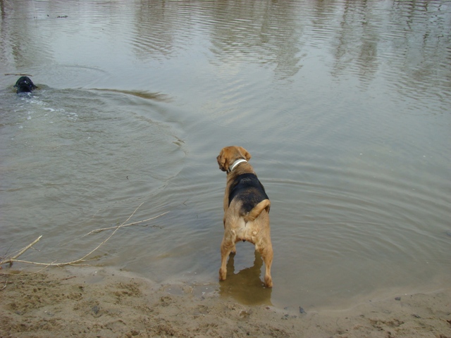 DSC00697.JPG