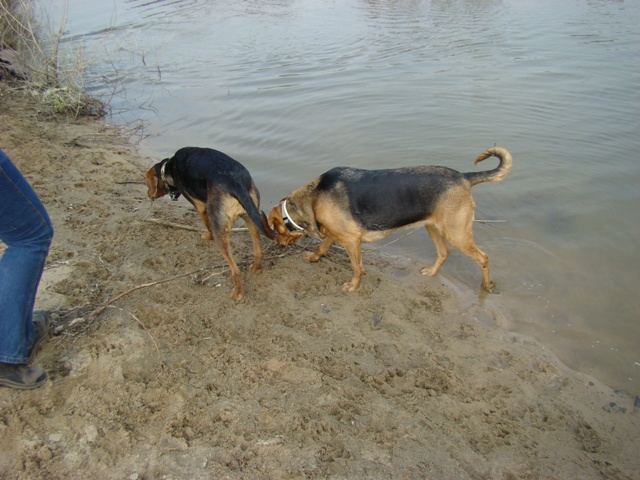 DSC00698.JPG