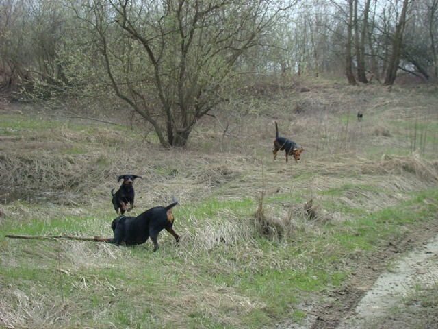 DSC00701.JPG