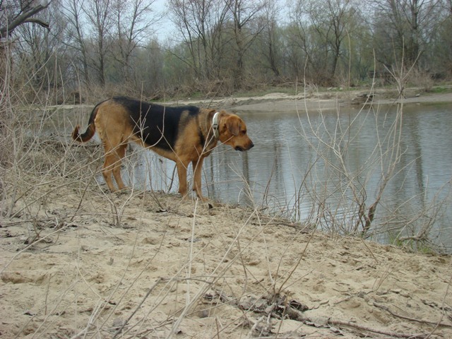 DSC00711.JPG