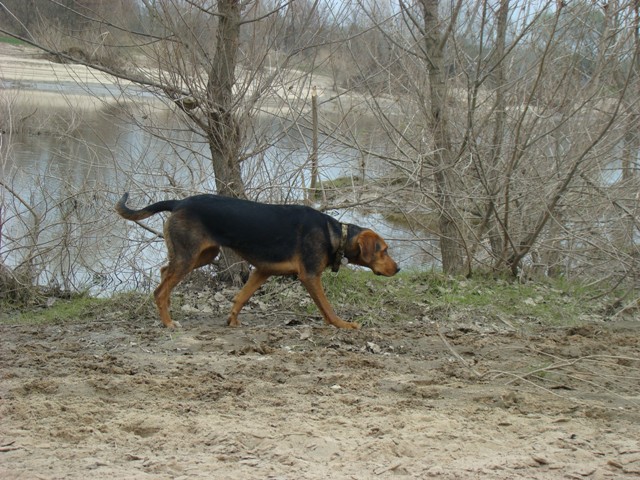 DSC00713.JPG