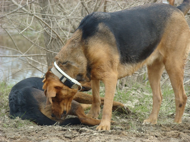 DSC00714.JPG