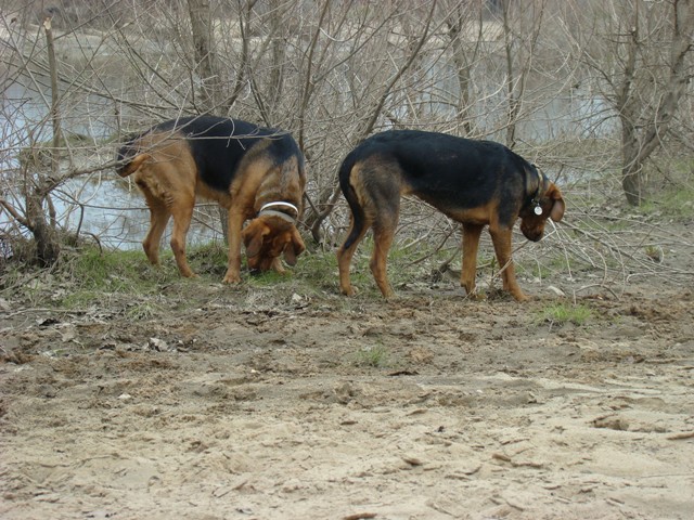 DSC00715.JPG