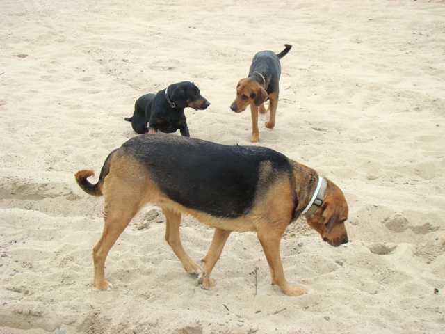 DSC00720.JPG