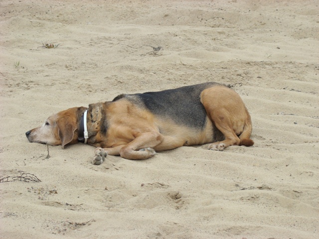 DSC00721.JPG