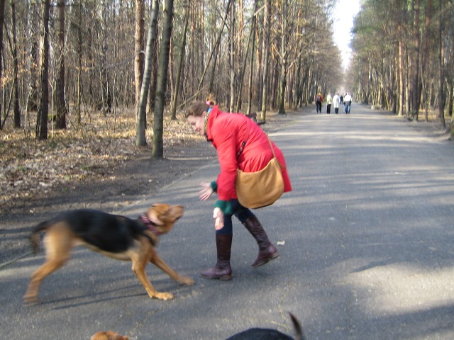 ogar widmo:)