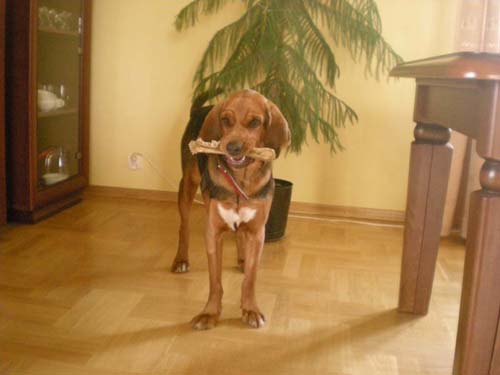 04.04.2010 012.JPG