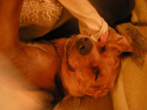 04.04.2010 025.JPG