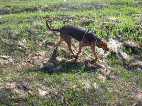 04.04.2010 097.JPG