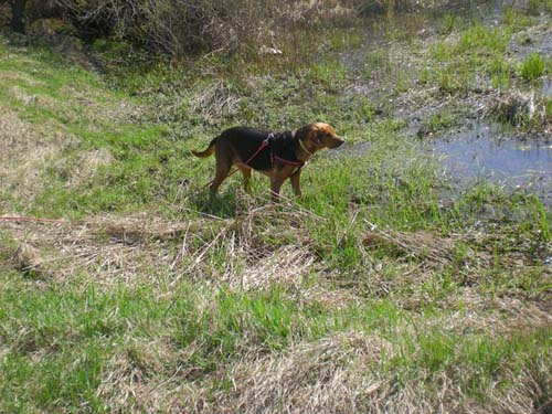 04.04.2010 104.JPG