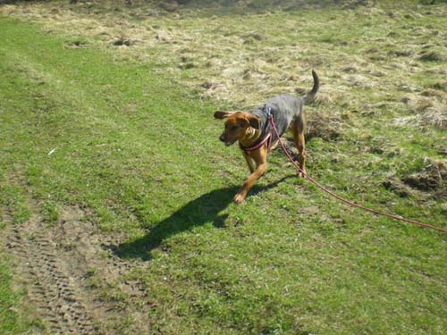 04.04.2010 116.JPG