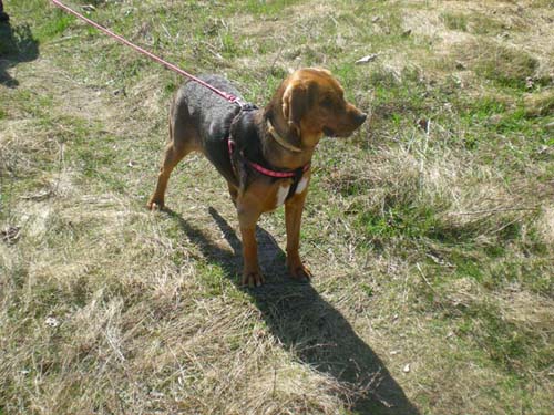 04.04.2010 118.JPG