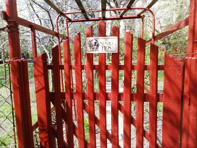 Zdjęcie0537.jpg