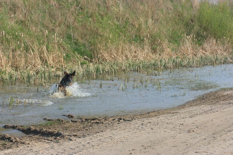Szatan z pierwszej klasy
