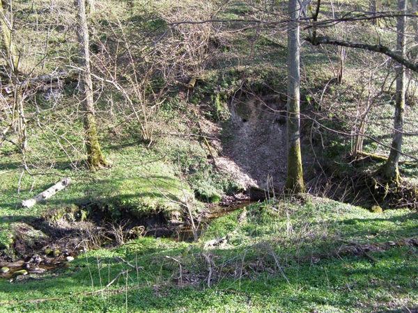 nasze tereny4.jpg