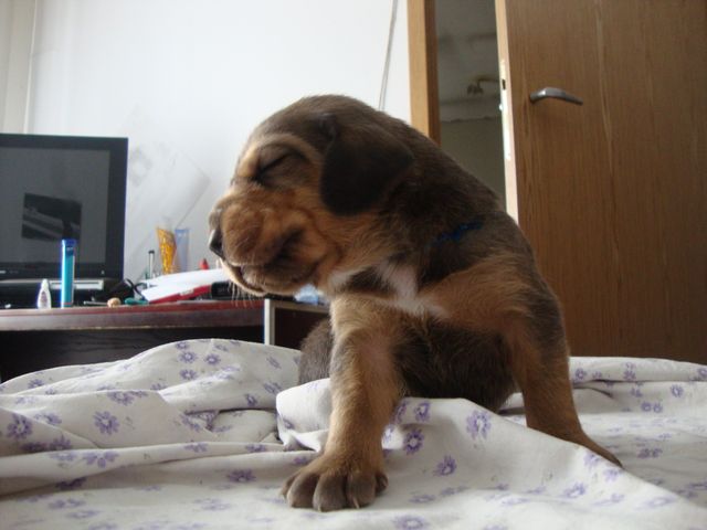 DSC00327.JPG