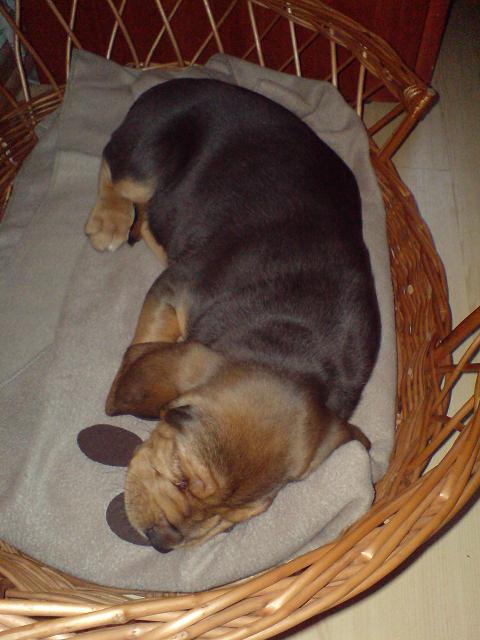 DSC00058.JPG