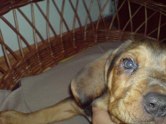 DSC00068.JPG