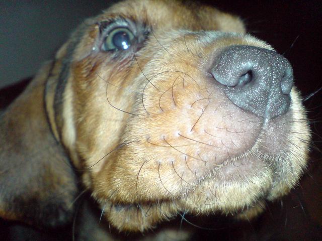 DSC00063.JPG